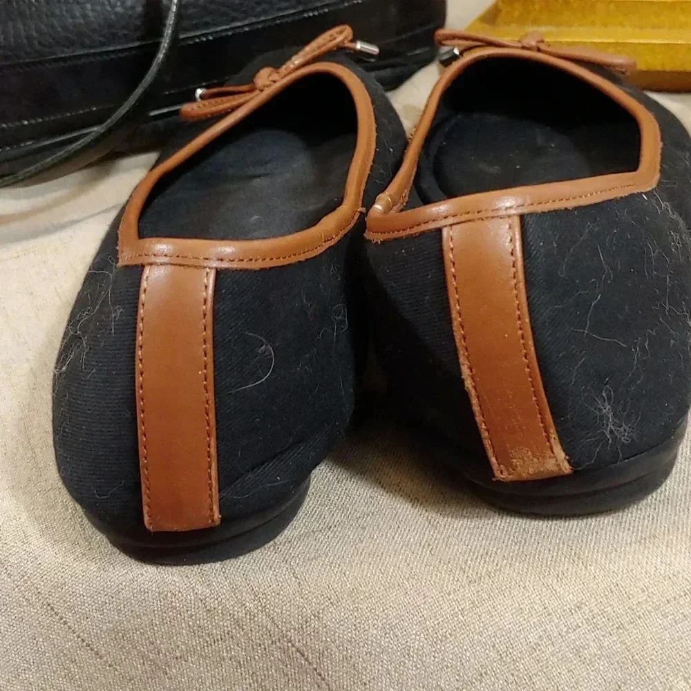 Coach and Four flats - Picture 5 of 9